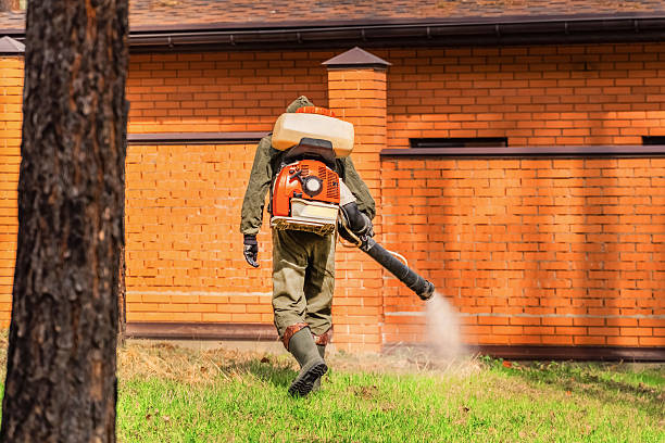 Trusted Fumigation Services service in Fairview Shores, FL - Nex Pest Control